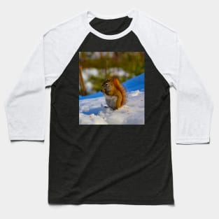 Squirrel munching Baseball T-Shirt